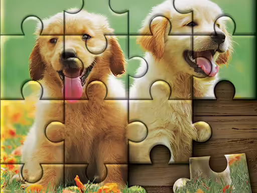 Jigsaw puzzle