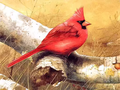 Puzzle di uccelli d'arte