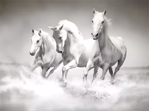 Horses Trencaclosques