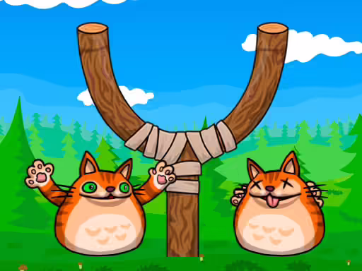 Atirou no gato zangado