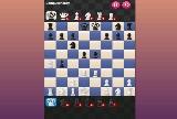 2 žaidėjas Šachmatai