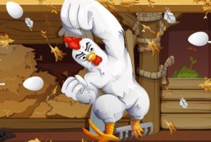 Folie des œufs de poulet en colère