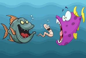 Angry Fish Coloring