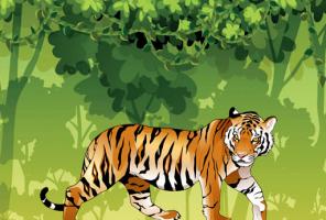 Colorazione arrabbiata della tigre