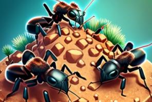 colonia de formigas