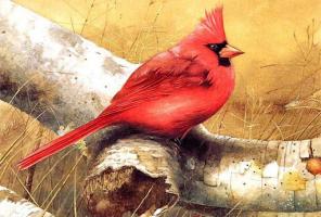 Uganke Art Birds