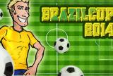 Brazilija čempionatas 2014