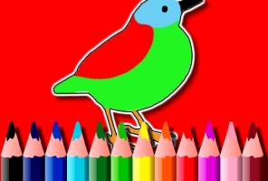 Livro para colorir de pássaros BTS