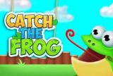 Fånga The Frog