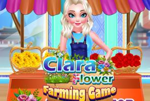 Klaros gėlių auginimo žaidimas