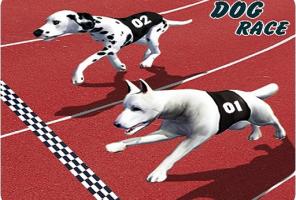 Pašėlusių šunų lenktynių karštligė: šuo R