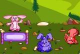 Cute bunny farm