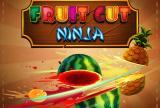 Cut Fruit Ninja