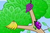 Fruity bugs