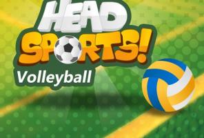 Head Sports Voleibol