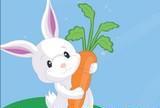 I love carrot