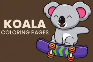 Planse de colorat Koala