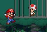 Mario save toad