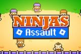 Assault Ninjas