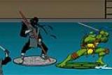Ninja turtles surfing