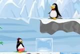 Pinguïns oorlog