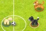 Pet soccer