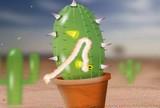 Műanyag kaktusz