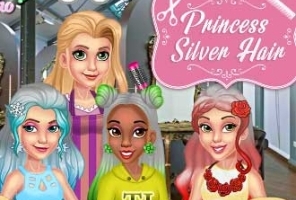 Coafuri prințesă argintie