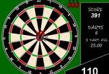 Pro 501 darts