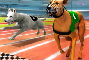 असली कुत्ता रेसिंग सिम्युलेटर 3D