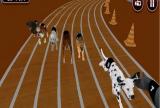 Xogo de simulación de carreiras de cans reais
