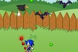 Sonic w ogrodzie