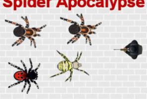 Apokalipsa pająków