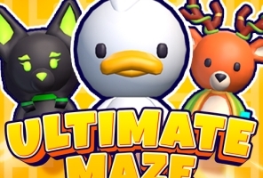 Ultimate maze! Collect them at