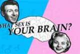 What sex is your brain